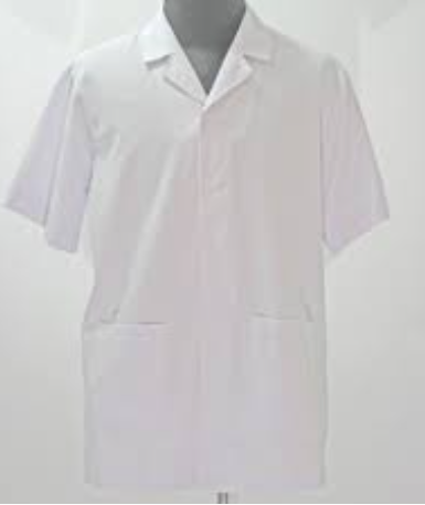 Áo Blouse ngắn tay, dáng ngắn size M (Cái)