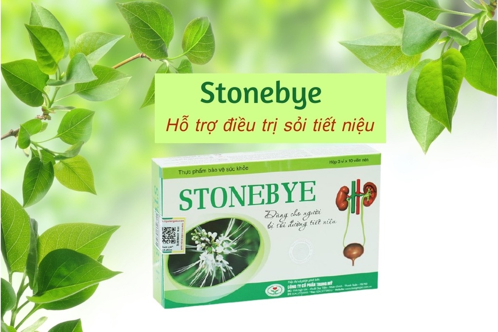 Stonebye Hồng Bàng (H/30v)