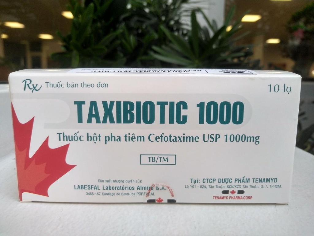 Taxibiotic Cefpodoxime 1000mg bột pha tiêm Tenamyd (H/10lọ)