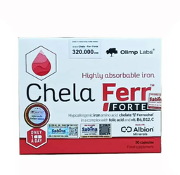 [T09040] Chela Ferr Fort Ba Lan (H/30v)