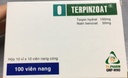 [T06539] Terpinzoat 100mg/50mg viêng nang TVpharm (H/100v)