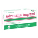 [T08055] Adrenalin 1mg/1ml Minh Dân (H/10o/1ml)