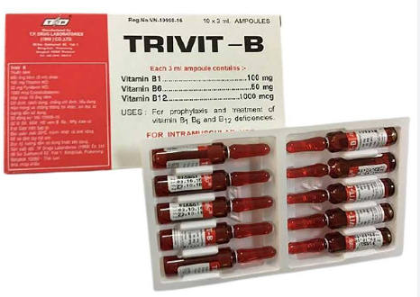 TRIVIT-B T.P (H/10ống/3ml) 