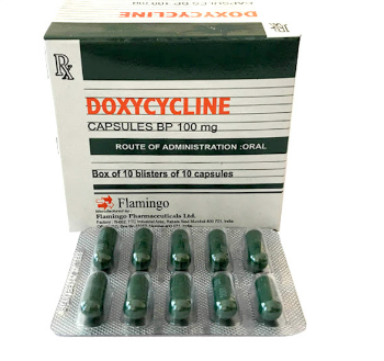Doxycycline 100mg Flamingo (H/100v) Date 11/2027