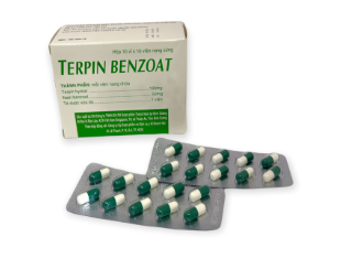 Terpin Benzoat 100mg Khánh Hội Bình Dương (H/100v)