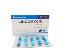 Lincomycin 500mg Z120 (H/100v)