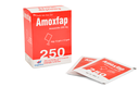 [T14788] Amoxfap 250 Thephaco (H/12g)