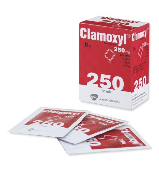 Clamoxyl Amoxicilin 250mg GSK (H/12gói) 