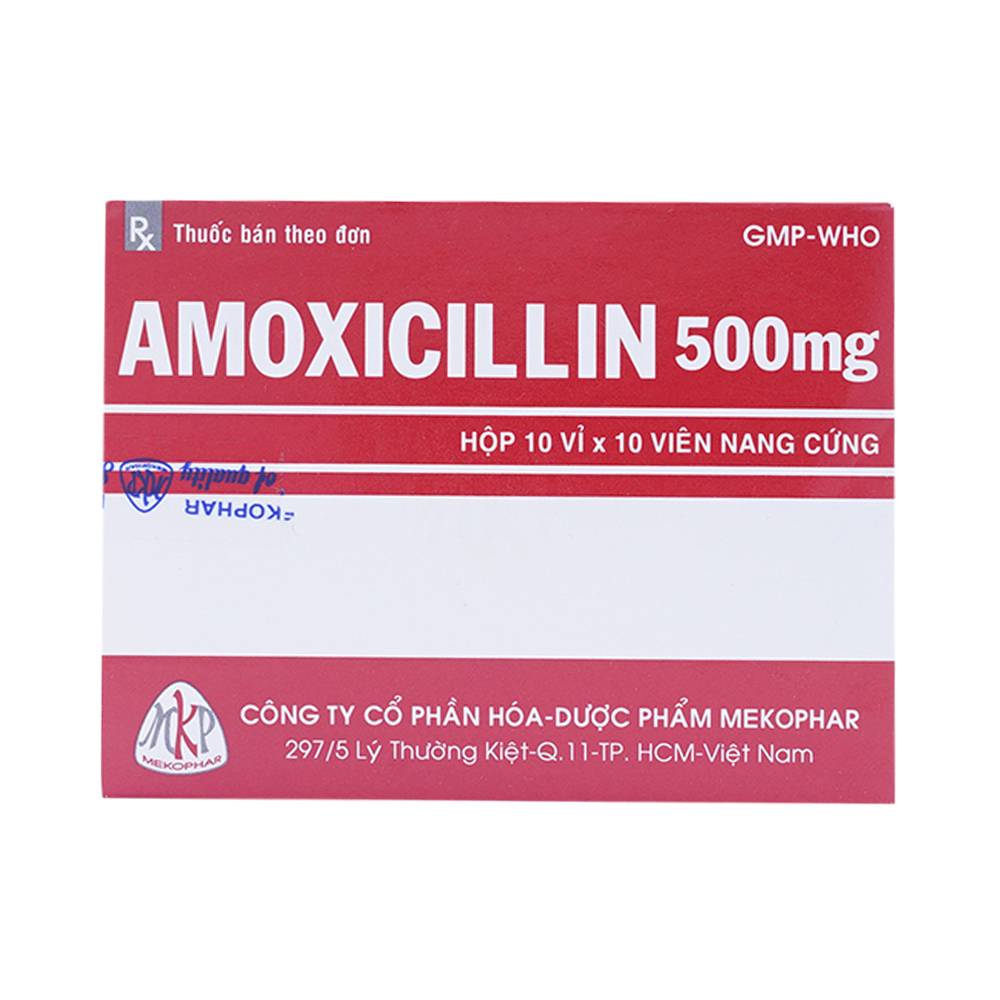 [T06571] Amoxicillin 500mg Mekophar (H/100v)