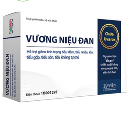 [T06954] Vương niệu đan Thái Minh (H/20v)