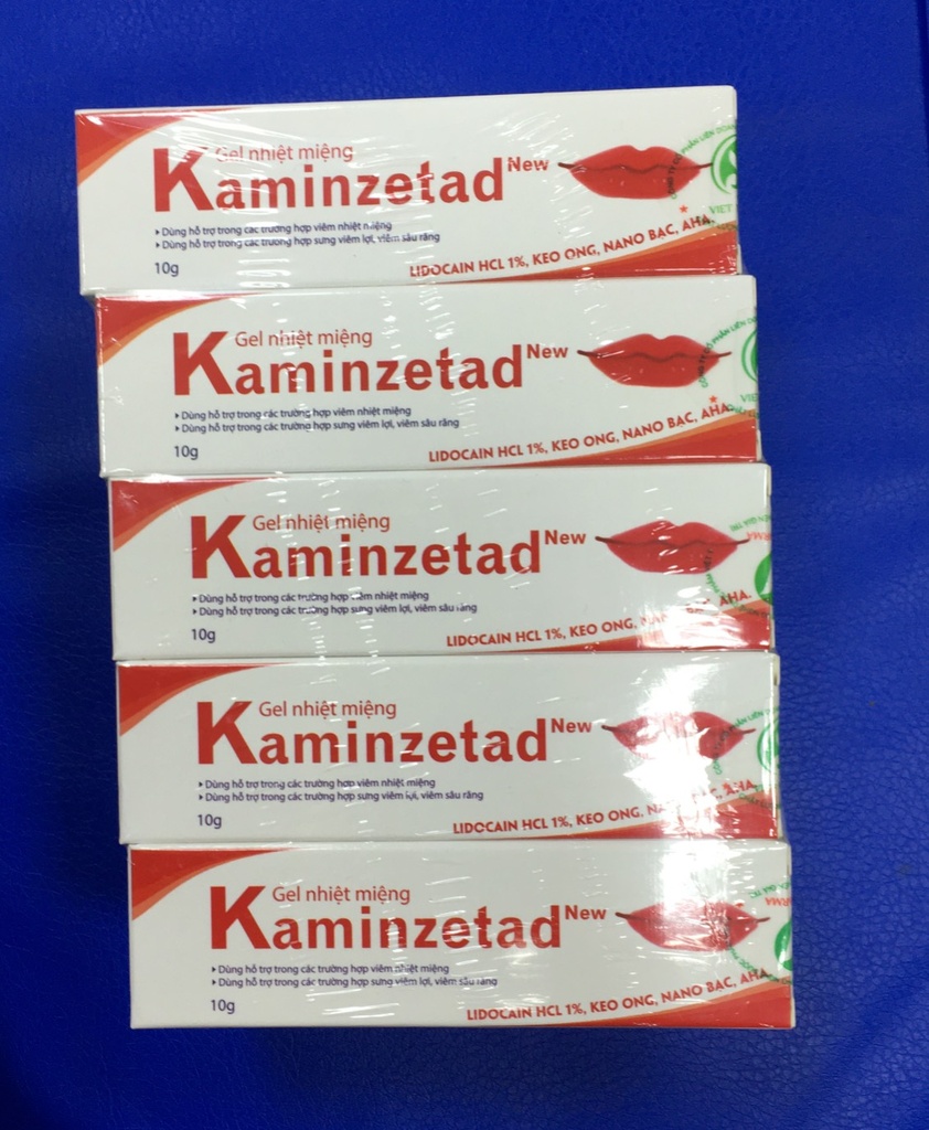 [T08548] Gel nhiệt miệng Kaminzetad Hadophar (Tuýp/10g)