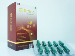 [T08951] Euthius France (H/60v)