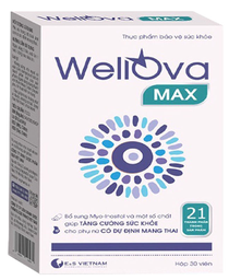 [T11324] Wellova Max E&S Việt Nam (H/30v)