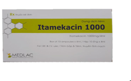 [T13372] Tiêm Itamekacin 1000 Medlac (H/10o/4ml)