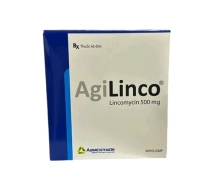 [T13542] AgiLinco Lincomycin 500mg Agimexpharm (H/100v)
