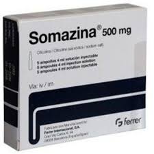 [T14230] Somazina Citicolina 500mg Ferrer (H/5o/4ml) Date 03/2027