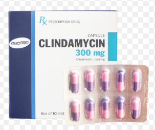 [T14723] Clindamycin 300mg Phapharco (H/100v)