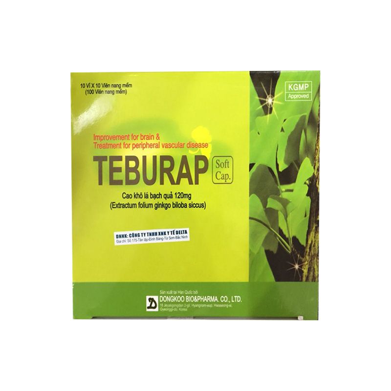 [T00023] Teburap Ginkgo biloba 120mg Hàn Quốc (H/100v) date 01/2026