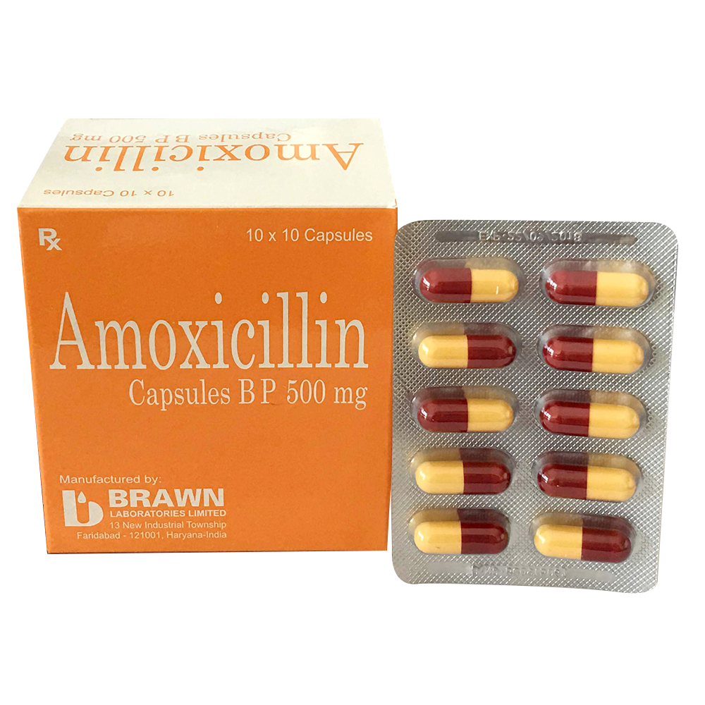 [T01551] Amoxicilin 500mg Brawn (H/100v) cam