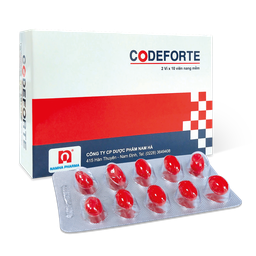 [T02267] Codeforte Nam Hà (H/20v)